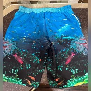 Aeropostale Mens Swimming Suit Board Shorts, Size Large